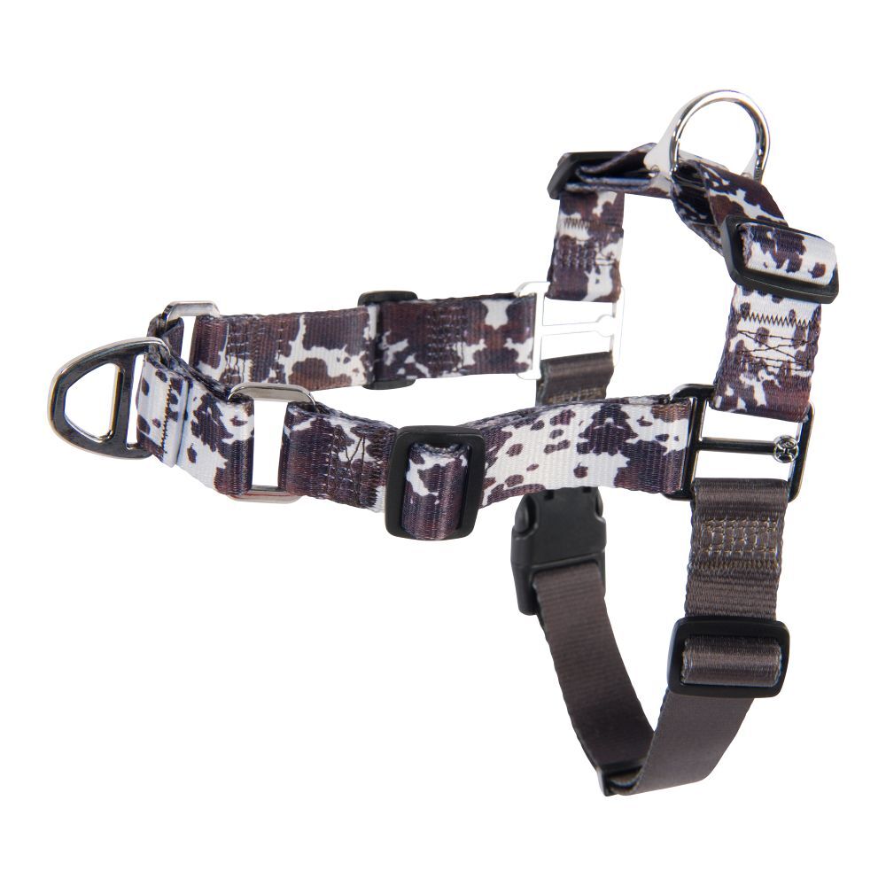 Hooey Medium Just Cow Nomad Walking Harness