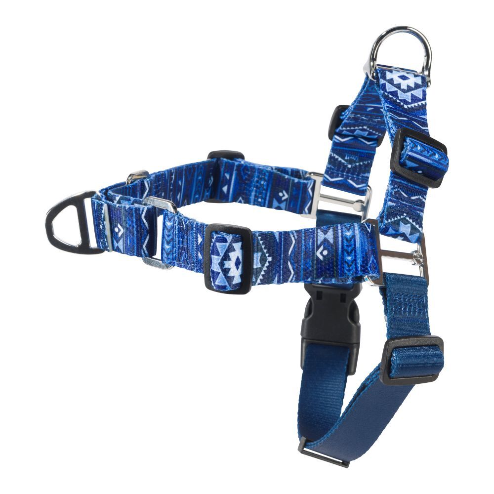 Hooey Small Ombre Aztec Nomad Walking Harness