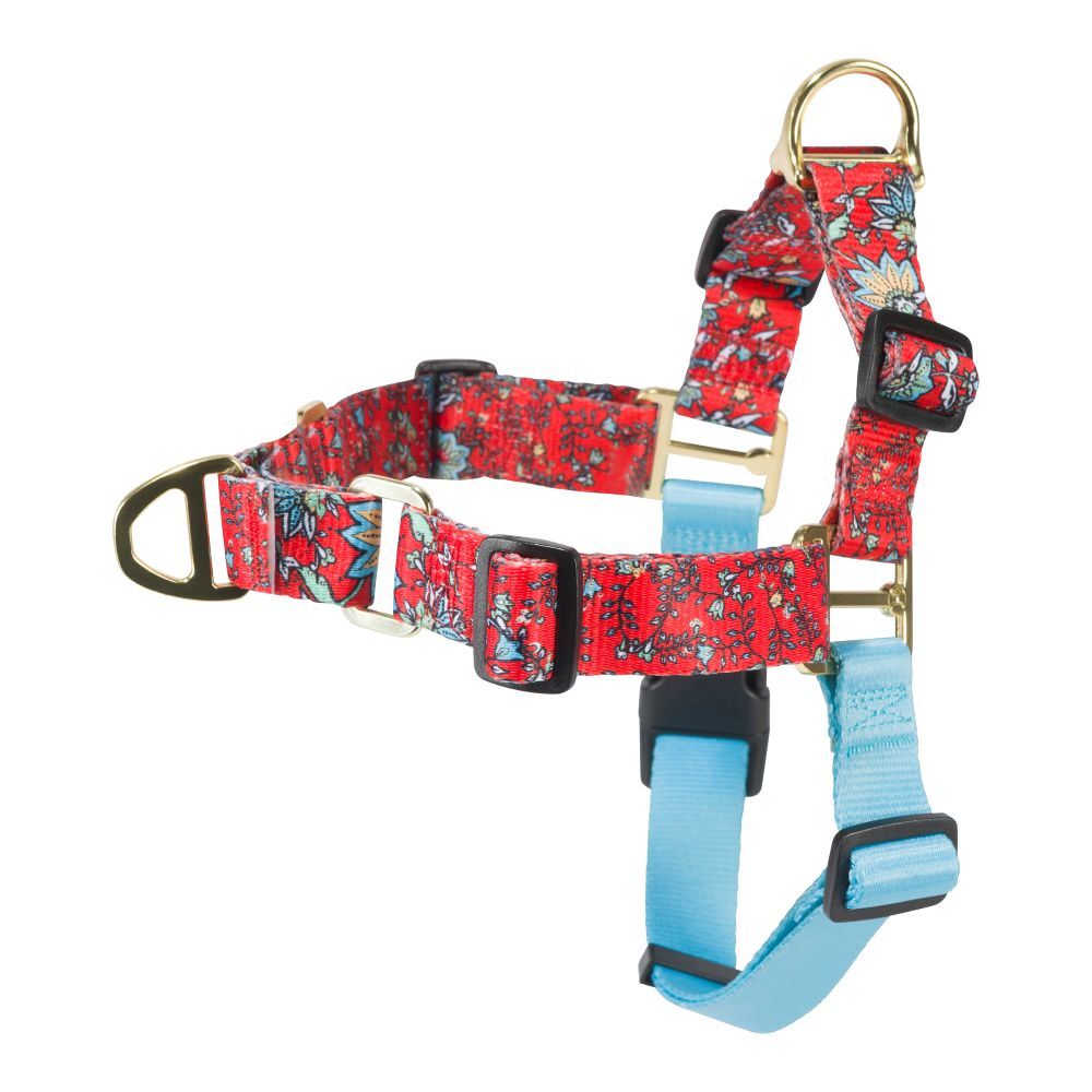 Hooey Small Western Floral Nomad Walking Harness