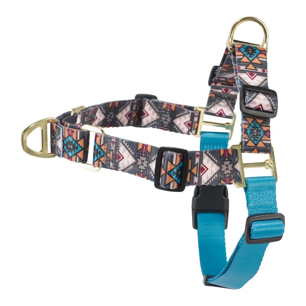 Hooey Small Beluga Monterey Nomad Walking Harness