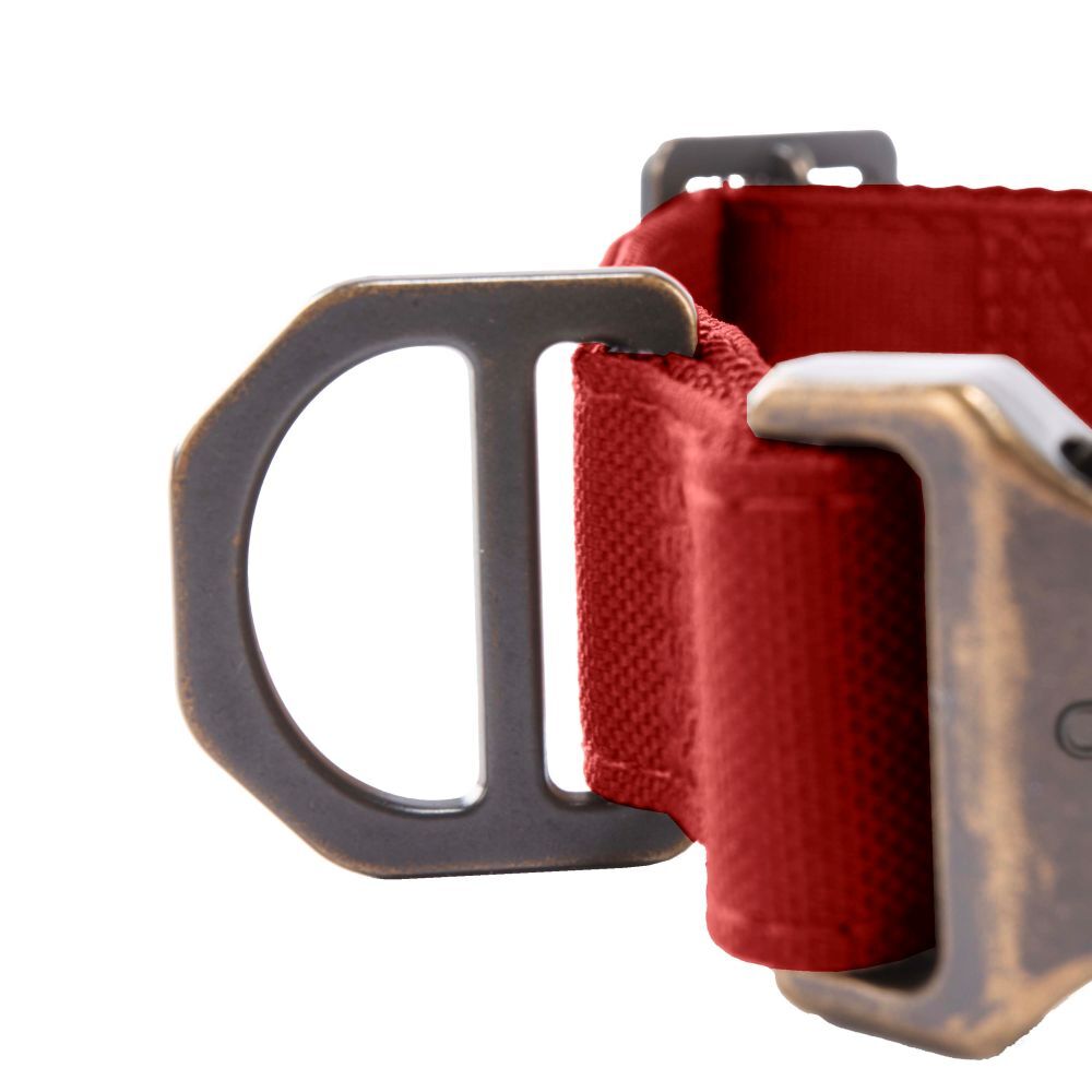 Carhartt Large Industry Red Field Dog Collar