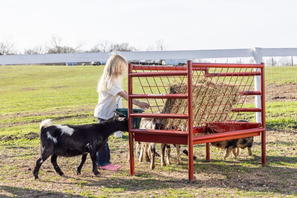 Behlen Country Red ArmorGuard All-In-One Feed Station, 48-In x 40-In