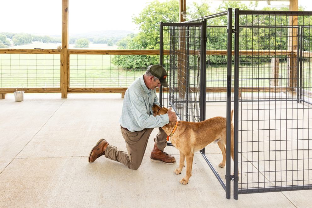 Behlen Country Gray Ruff Guard Complete Kennel, 10-Ft x 10-Ft x 6-Ft