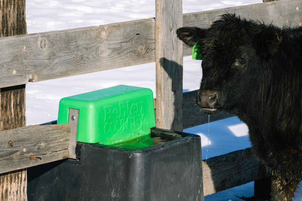 Behlen Country HydroStation AHW80 Electric Waterer, 80-Gal