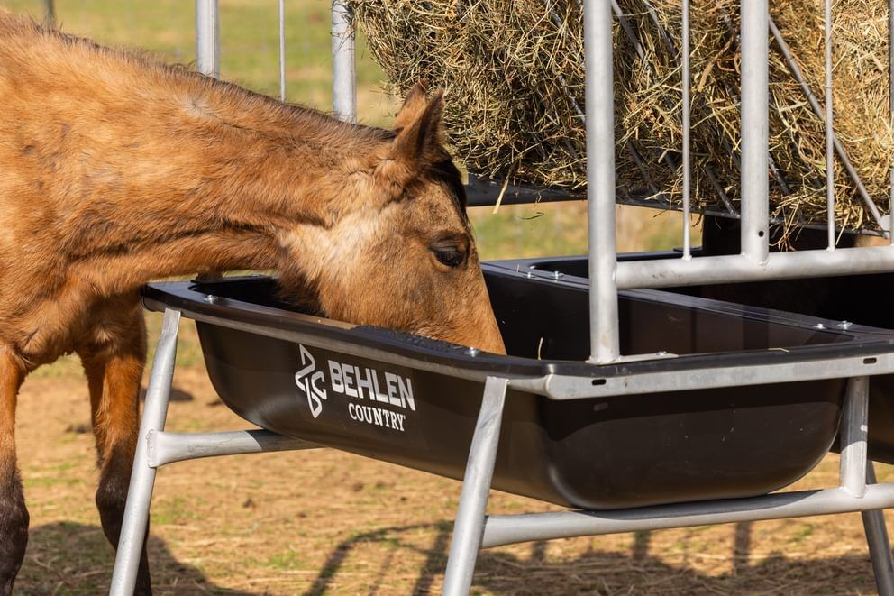 Behlen Country Black Galvanized Equine Ace Horse Feeder, 70-In x 68-In