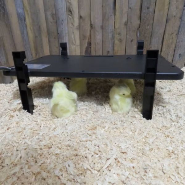 Farm Innovators 2-In-1 Chicken Coop Panel Heater and Brooder Heater