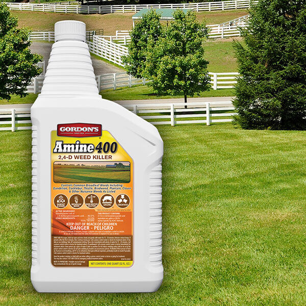 Gordon's Amine 400 Weed Killer 2,4-D, 1-Qt. Concentrate - 1 qt
