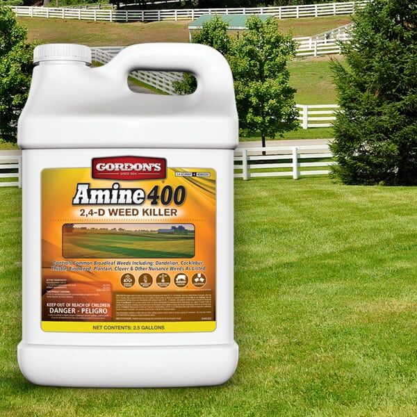 Gordon's Amine 400 2,4-D Weed Killer, 1-Gal