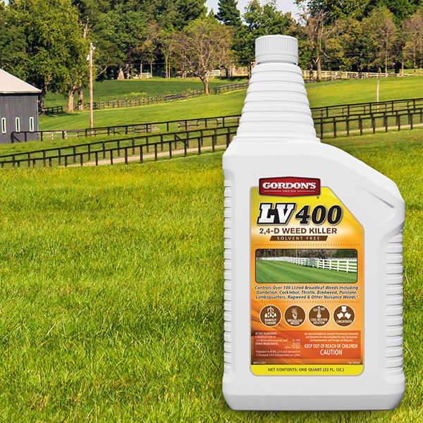 Gordon's Lv400 2,4-D Weed Killer Solvent Free - 32 oz