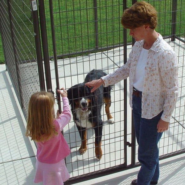 Powder River Dog Kennel Panel with Connector, 5-Ft x 74-In