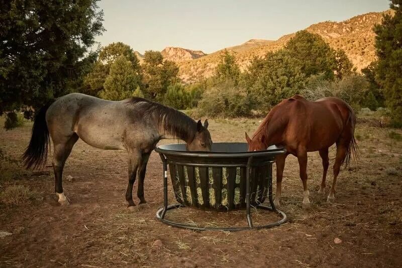 Tarter Gate Equine Hay Basket