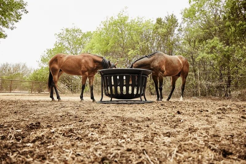 Tarter Gate Equine Hay Basket