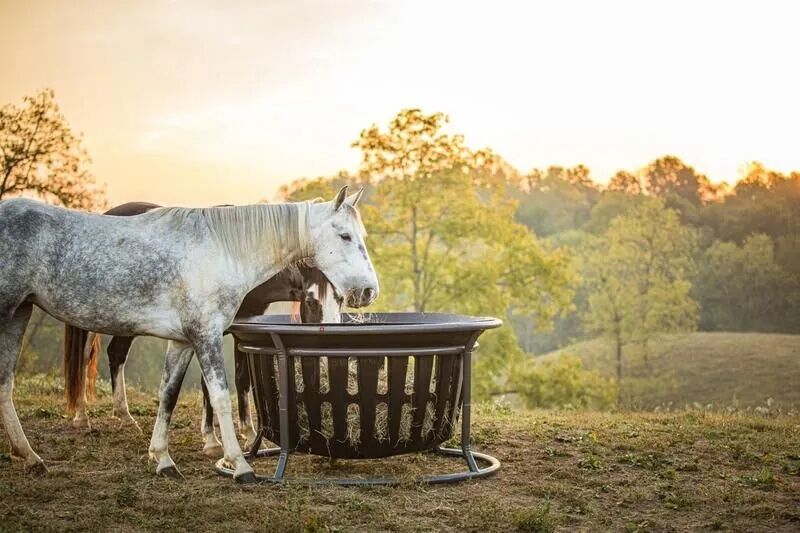 Tarter Gate Equine Hay Basket