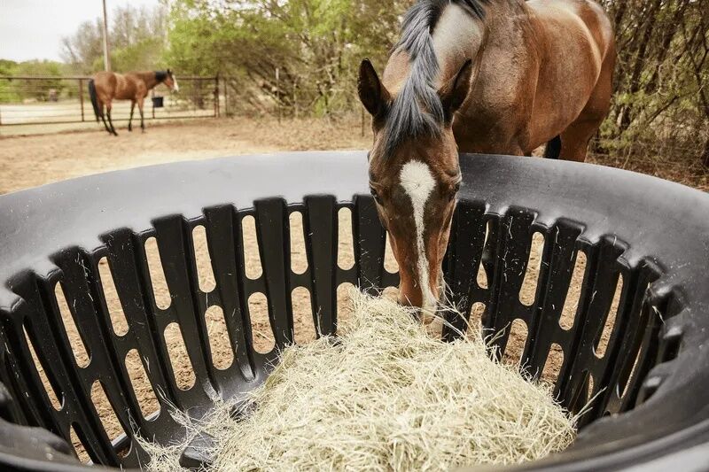 Tarter Gate Equine Hay Basket