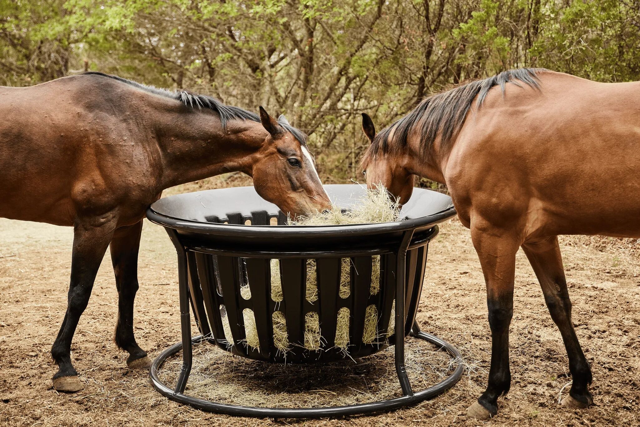 Tarter Gate Equine Hay Basket