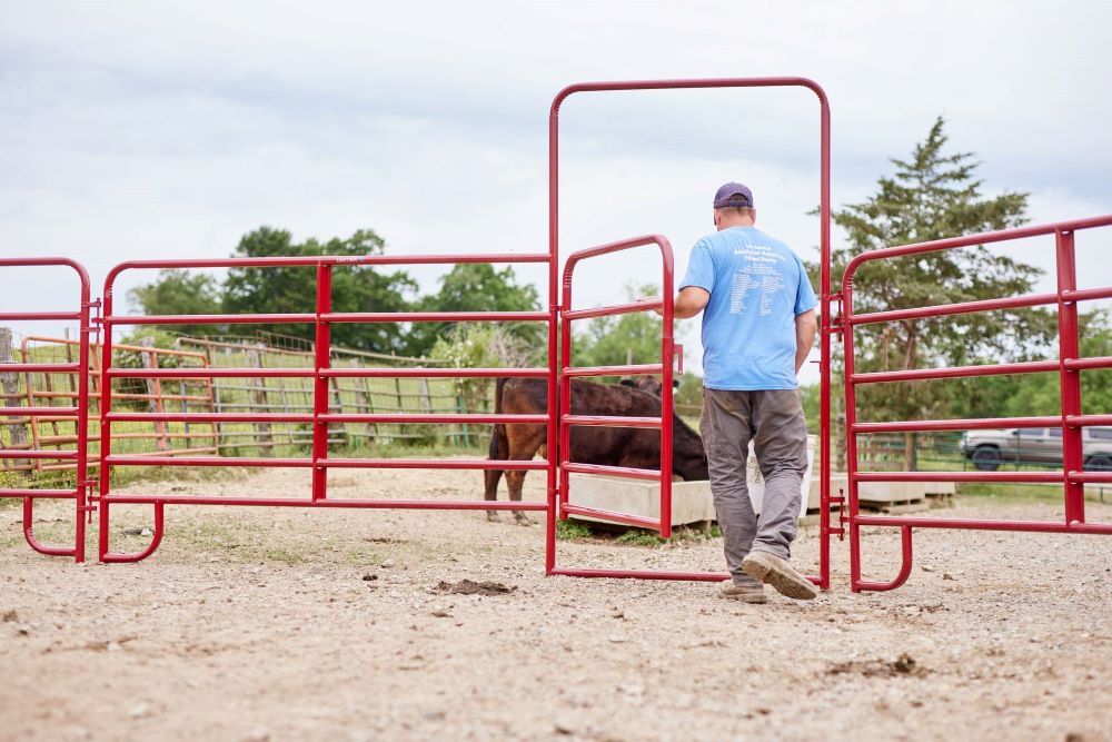 Tarter Green American Panel with Walk-Thru, 6-Ft X 12-Ft