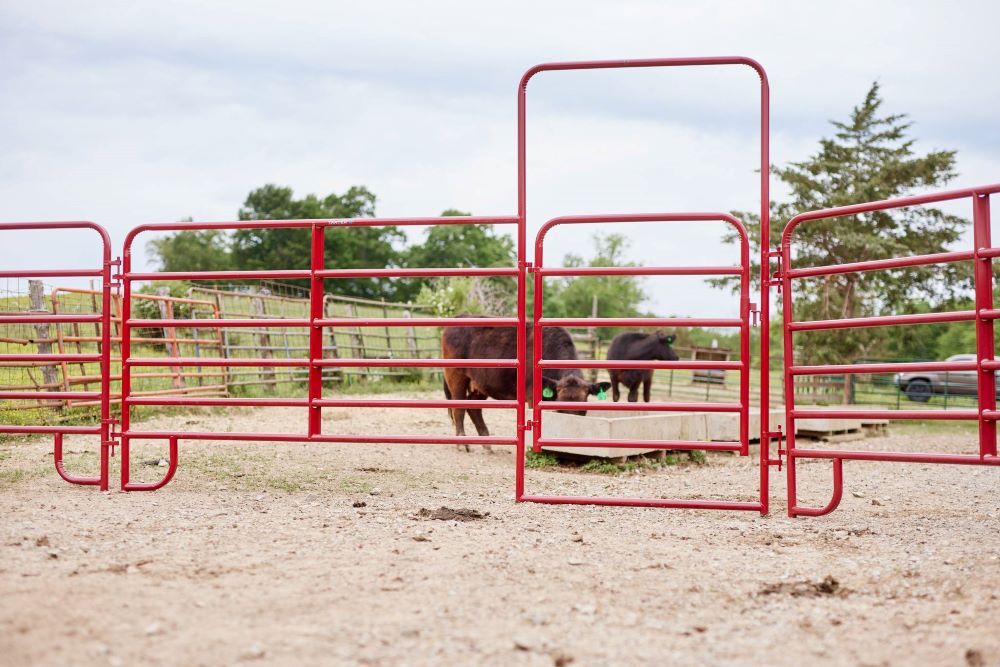 Tarter Green American Panel with Walk-Thru, 6-Ft X 12-Ft