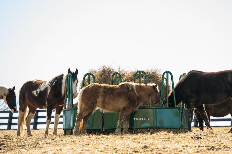 Tarter 4-Piece Equine Flex Hay Feeder