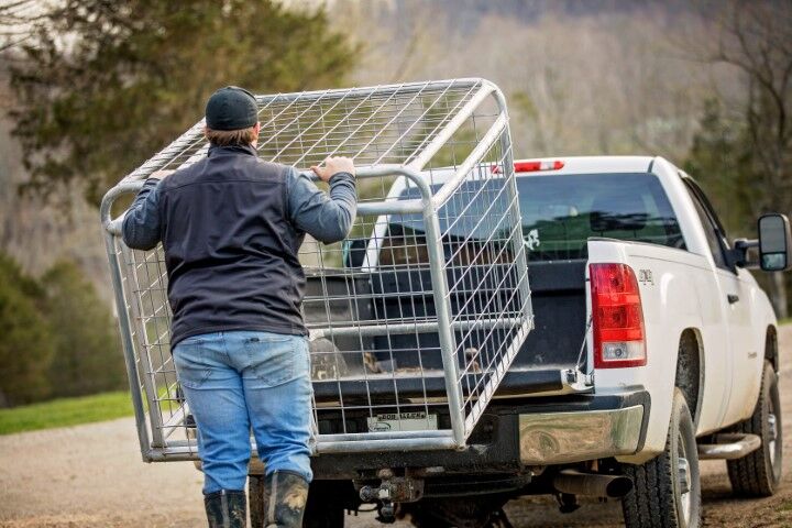 Tarter Small Animal Transporter