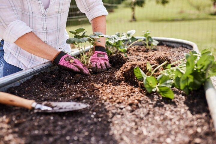 Tarter Oval Raised Bed Planter, 6-Ft
