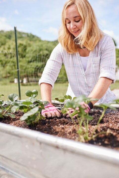 Tarter Oval Raised Bed Planter, 6-Ft