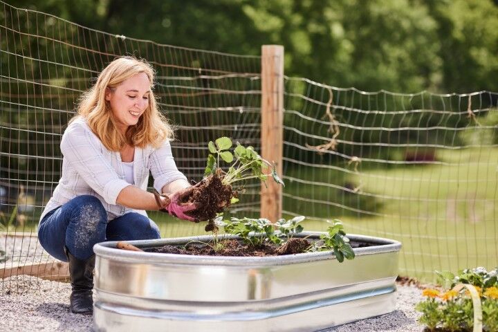 Tarter Oval Raised Bed Planter, 6-Ft