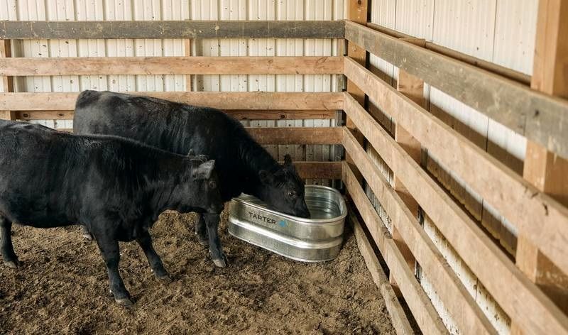 Tarter Triangle Trough, 2-Ft