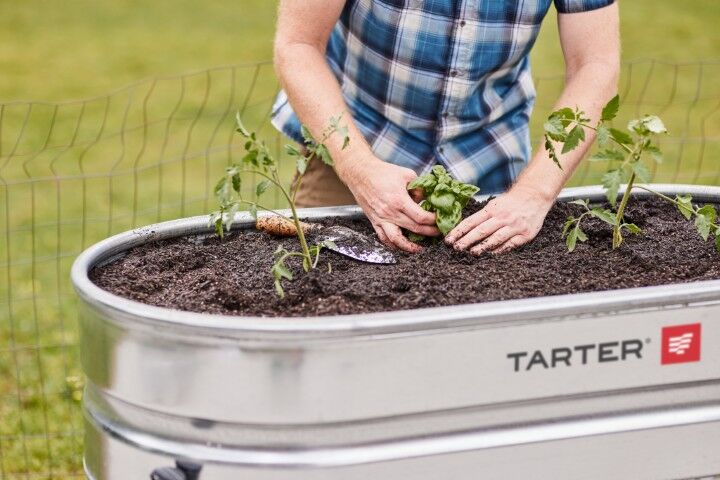 Tarter Water Trough Stand, Large