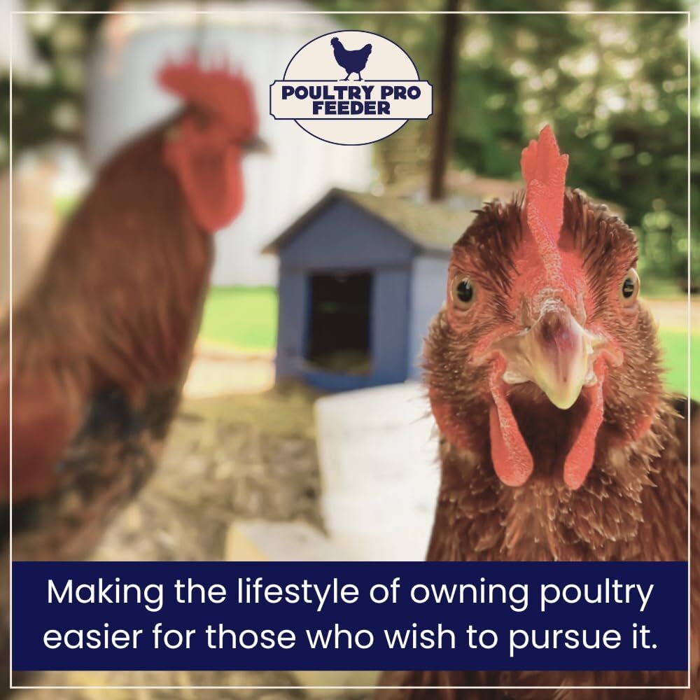 Riverbend Resources Poultry Pro Feeder