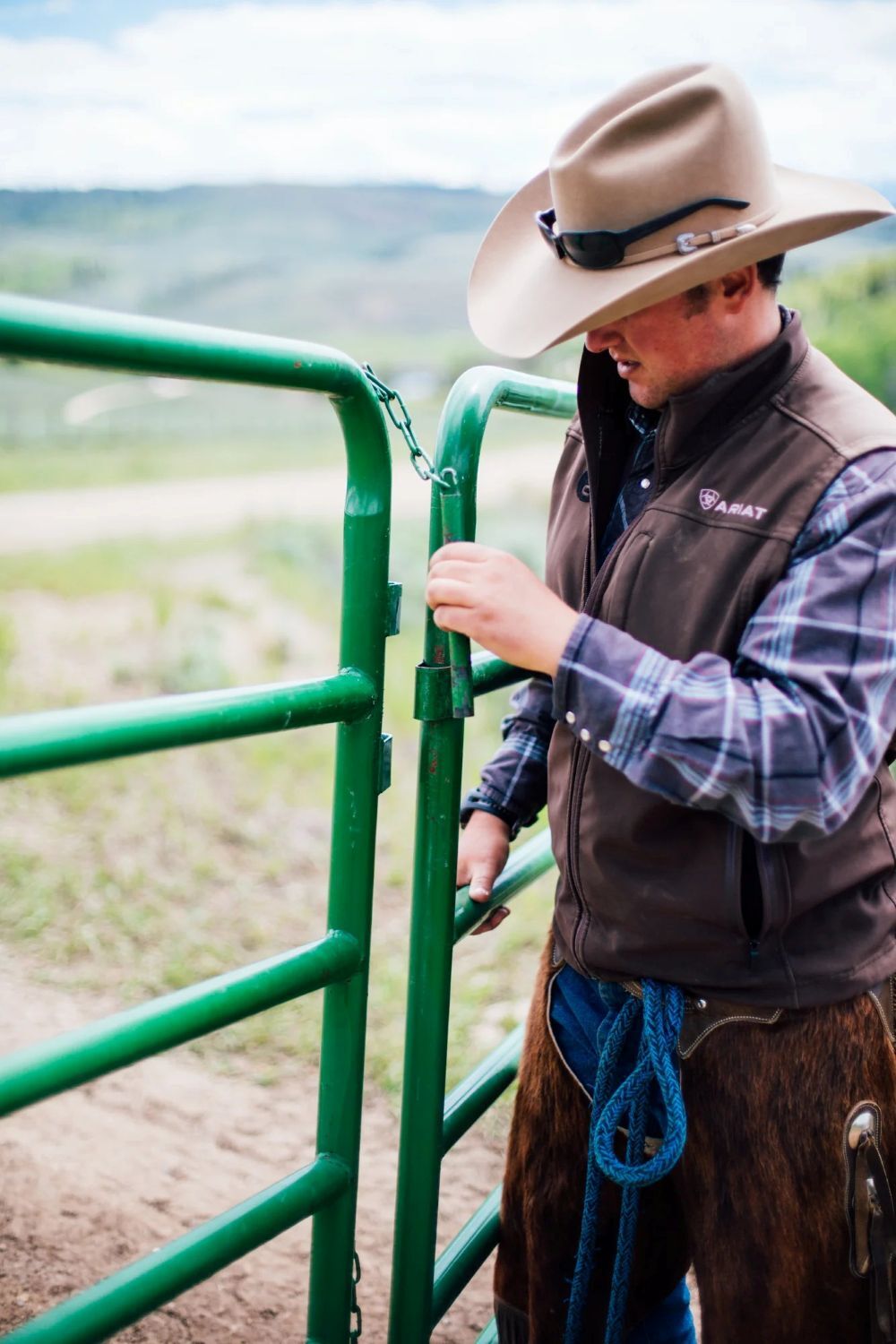 Hutchison Inc. WP660 Green Western Horse Corral Panel, 12-Ft x 60-In