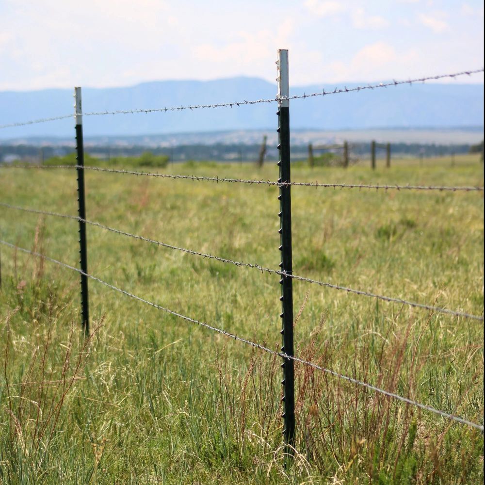 Hutchison Inc. Green with White Top T-Post, 7-Ft