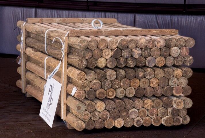 Parma Post & Pole Treated Wood Post, 4 in. x 8 ft.