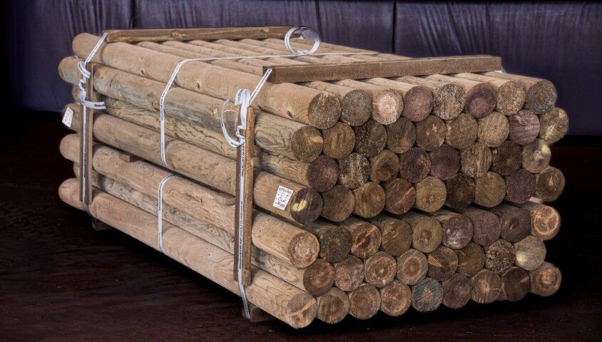 Parma Post & Pole Treated Wood Post, 5 in. x 8 ft.