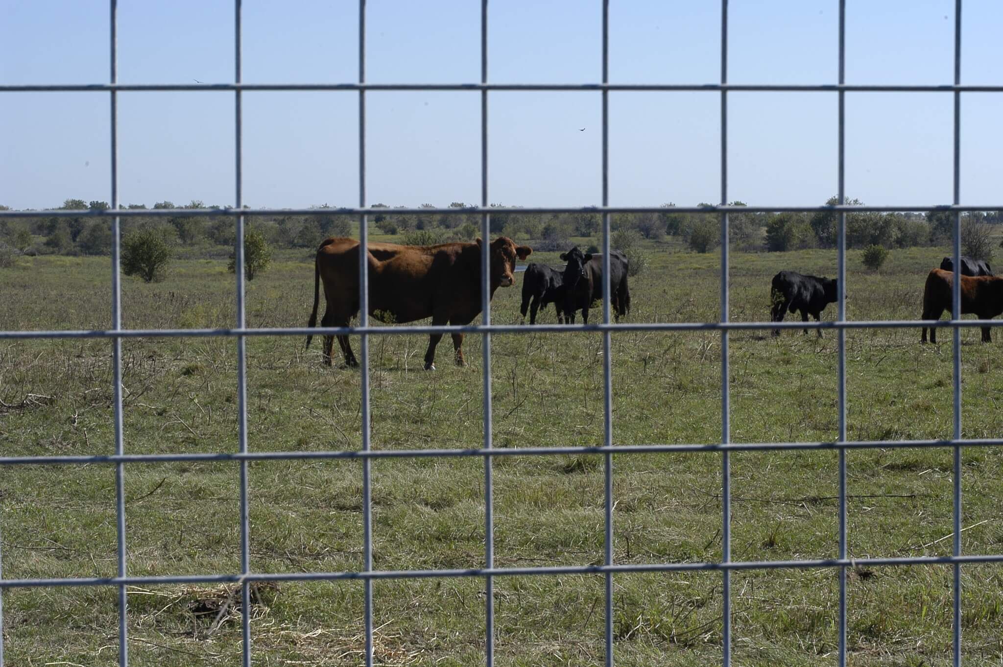 OK Brand 5-Ft x 16-Ft Utility Panel