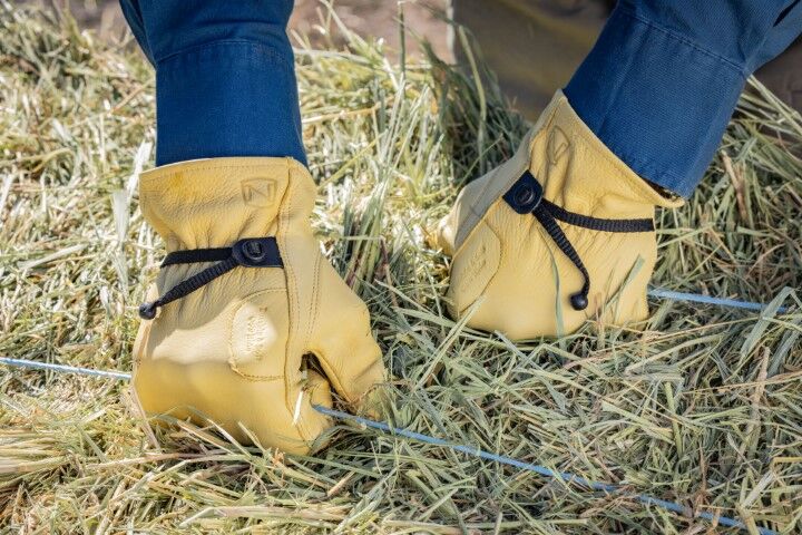 Noble Outfitters Men's Cowhide Ball And Tape Glove in Honey Gold