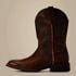 Ariat Men's Sport Rambler Western Boot in Bartop Brown