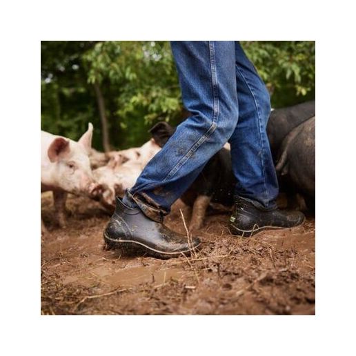 Muck Boots Men's Muckster Lite EVA Ankle Boot