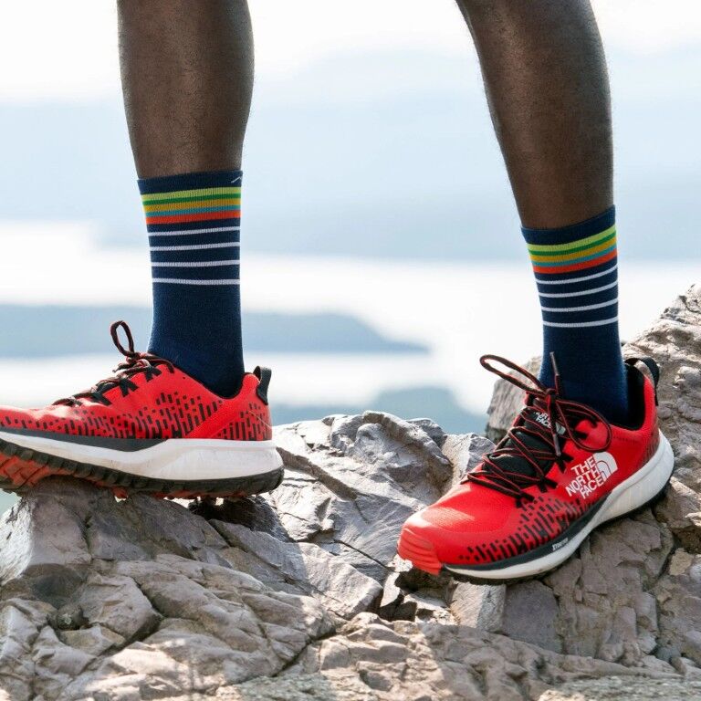 Darn Tough Men's Stride Micro Crew Ultra-Lightweight Running Socks