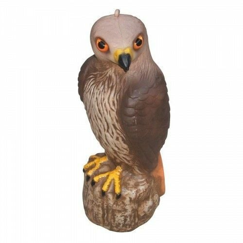 Backyard Expressions 17In Hawk Decoy