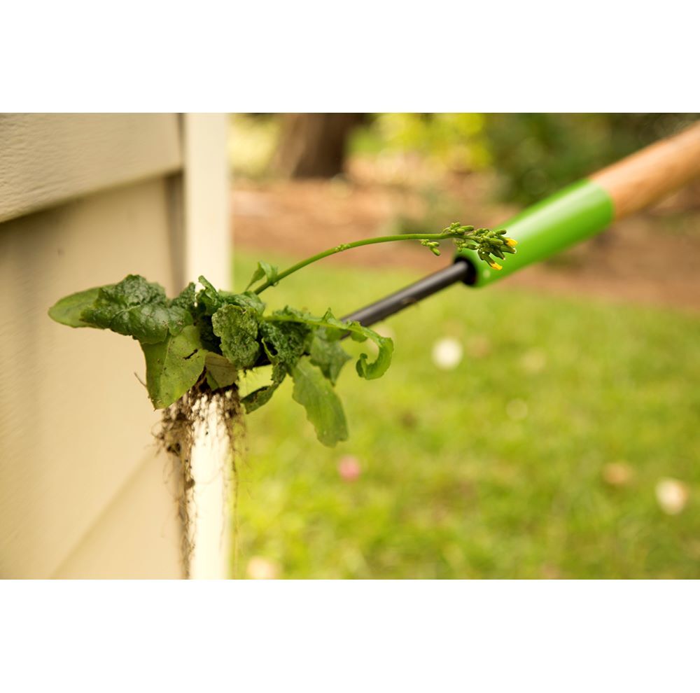 Home By Ames Forged Dandelion Weeder