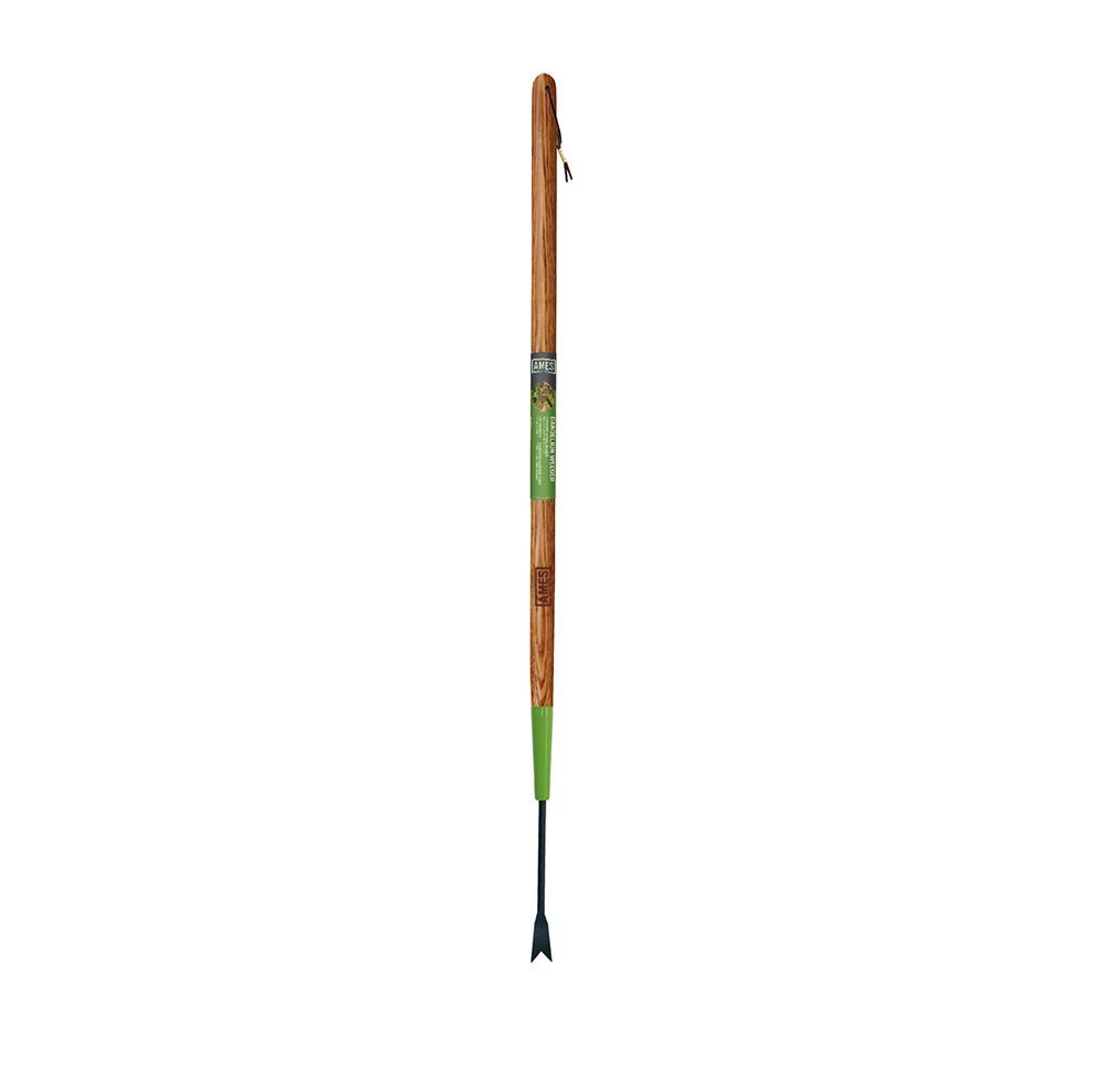Home By Ames Forged Dandelion Weeder