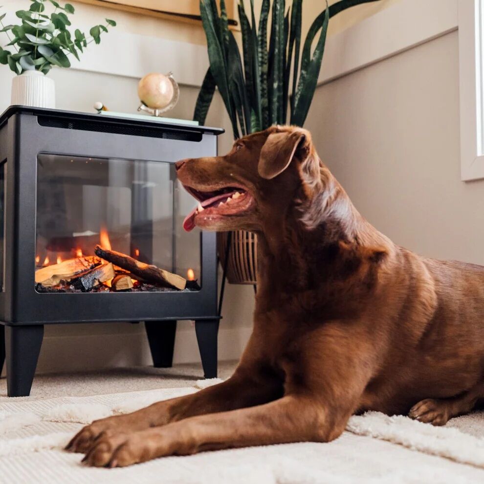 Forge & Flame Fuzion-EX Electric Stove