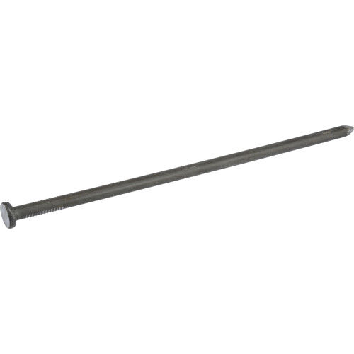 Hillman Bright Common Spike Nails 3/8 X 8 In, 5 lb