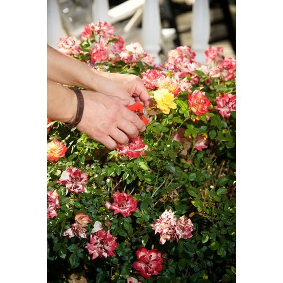 Corona ComfortGel Micro Snips