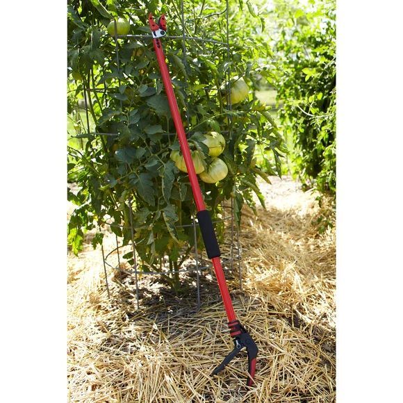 Corona Cut 'n' Hold Long Reach Bypass Pruner, 1/2-In Cut