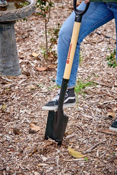 Corona Drain Spade Shovel with Wood D-Grip Handle, 15-Gauge, 30-In