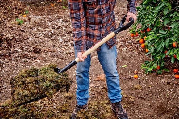 Corona #12 Plastic Western Scoop Shovel with Wood D-Grip Handle, 30-In