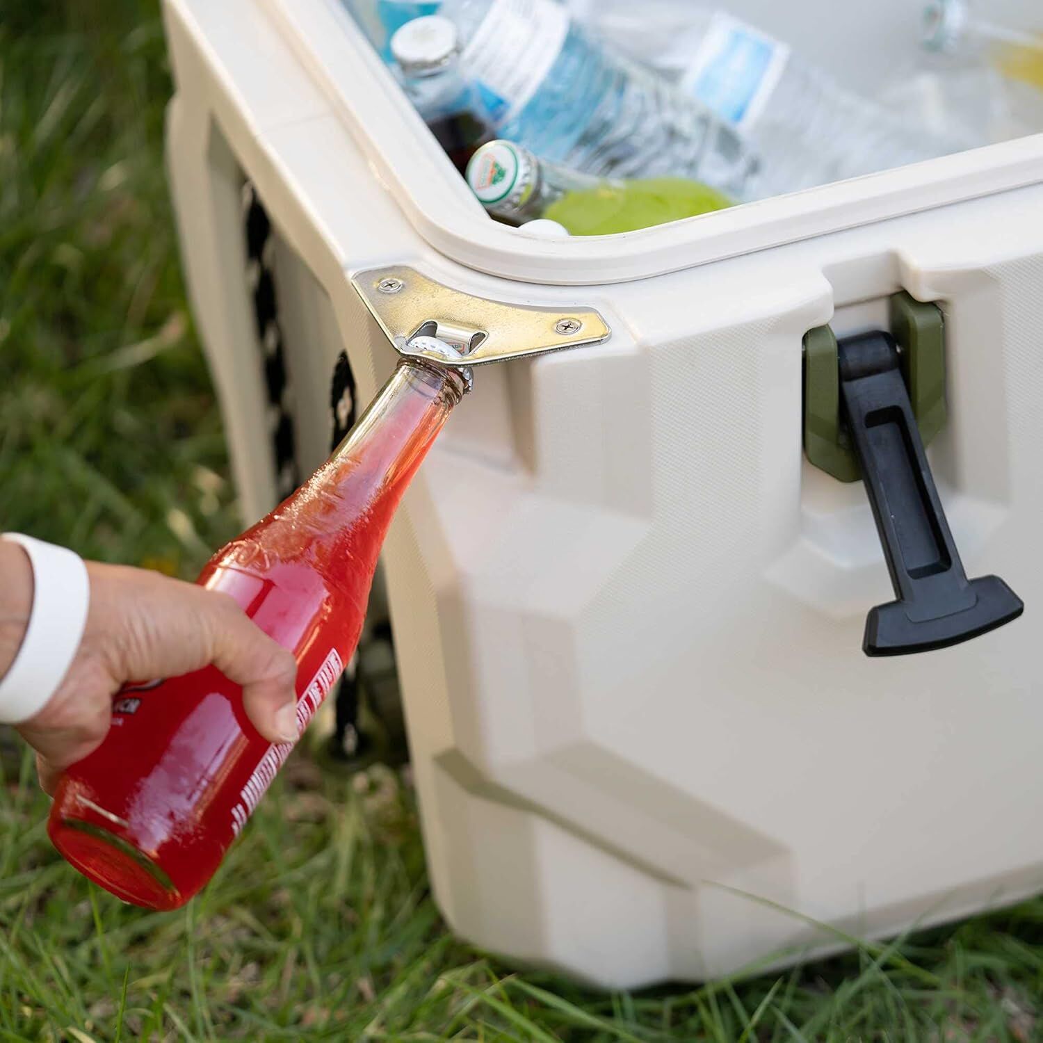 Lifetime Pumice Stone/Green High Performance Cooler, 48-Qt