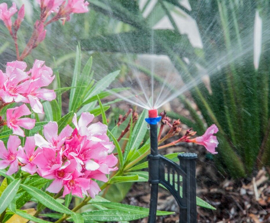 DIG Ultimate Drip Irrigation & Micro Sprinkler Kit, 30 PSI