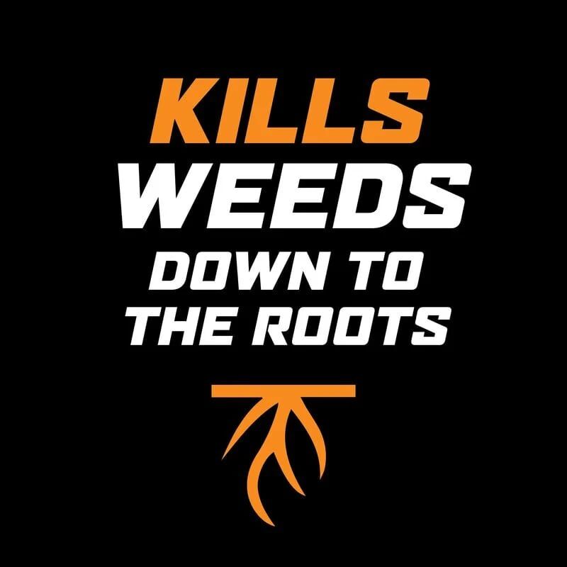 Ortho Weed Clear Lawn Weed Killer RTU With Comfort Wand, 1.33-gal